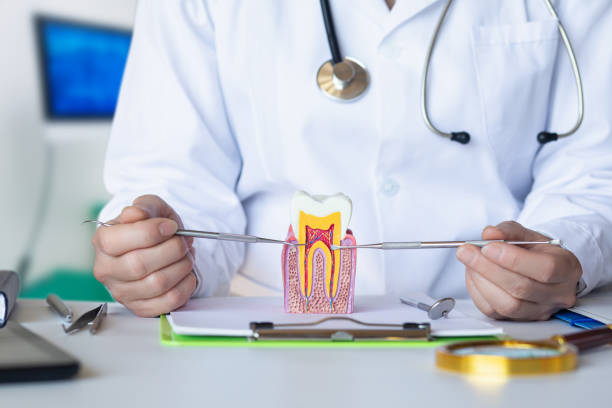 Best Mobile Emergency Dentist in Dana, NC